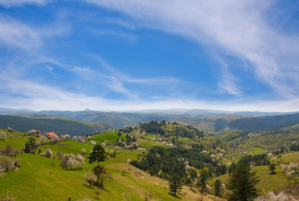 Zlatibor Pejzaž