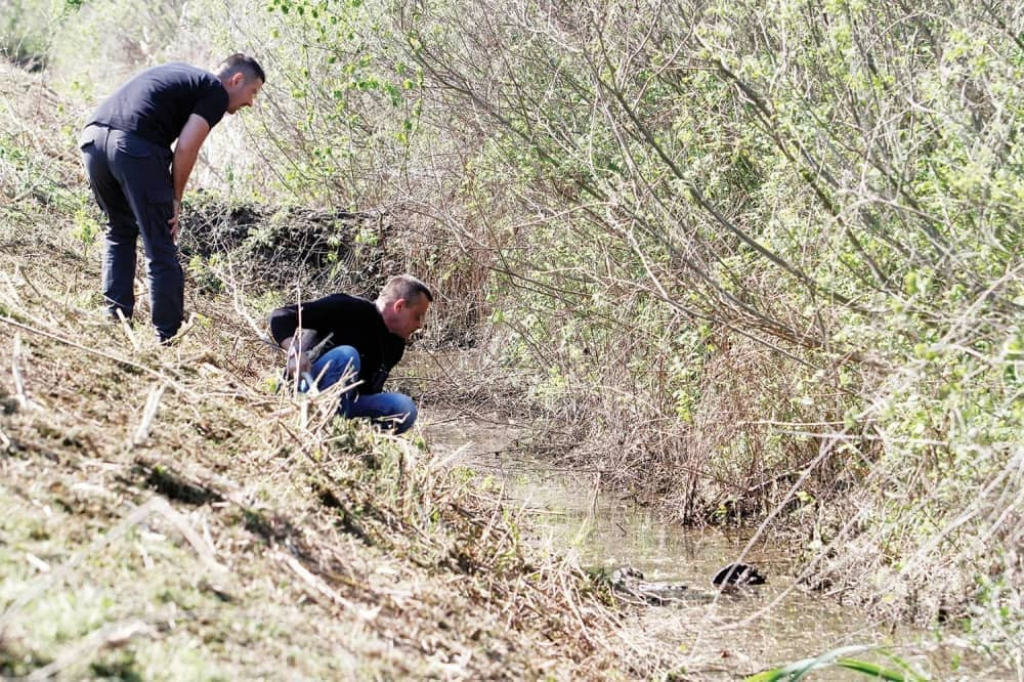 Policija  svakodnevno  pretražuje teren... 