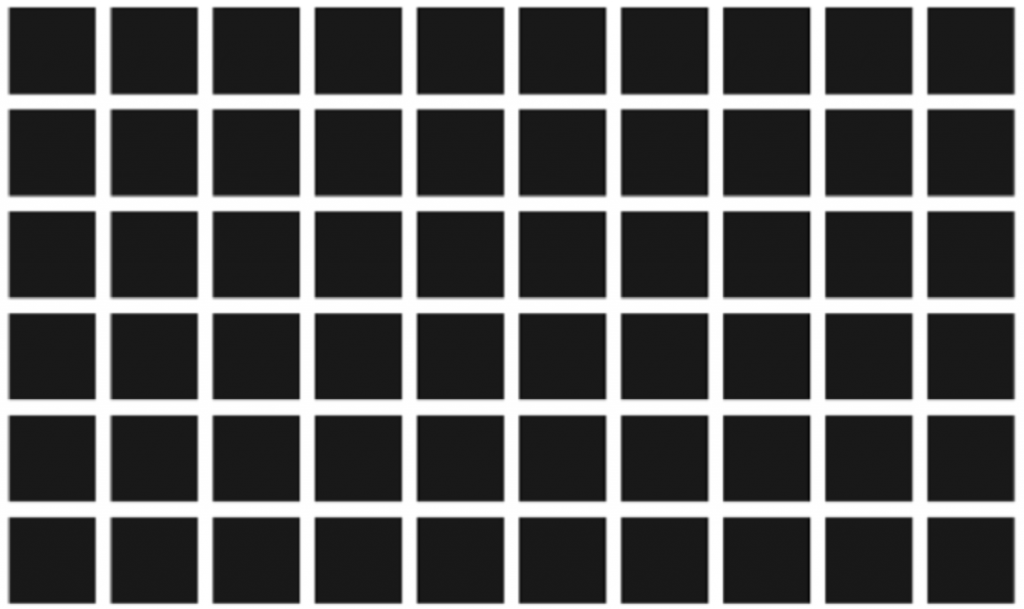 Hermanov grid