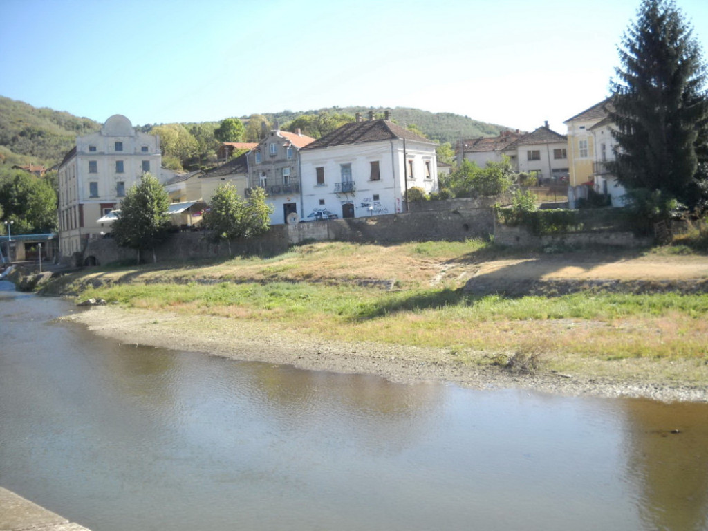 Žika Bidžić, Vlasotince