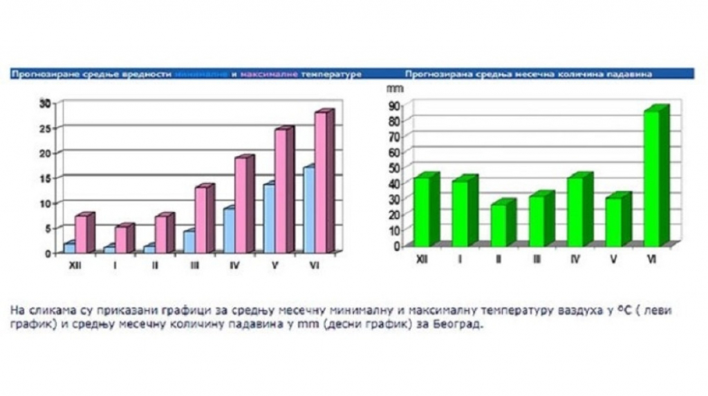 Prognoza