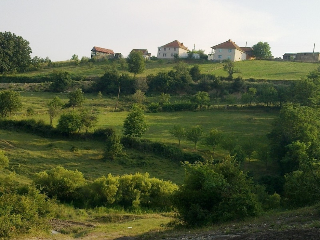 Kosovo i Metohija, Srbija