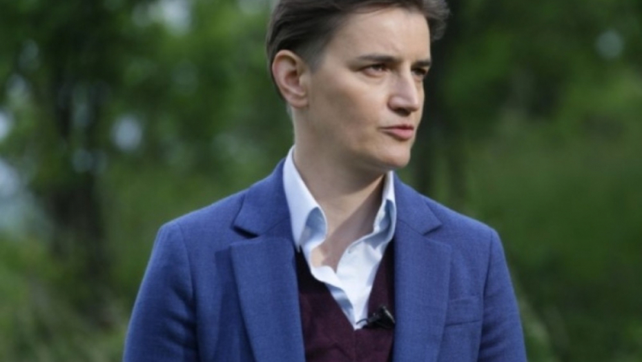 Ana Brnabić; Babušnica