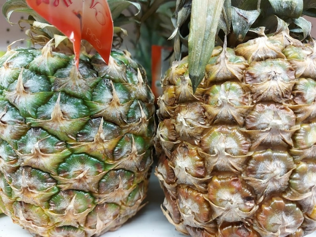 Voće, ananas