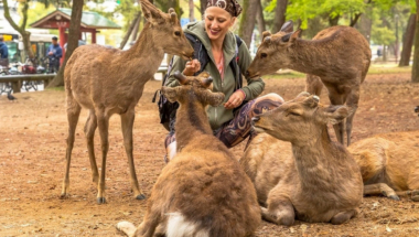 Nara, japan, park