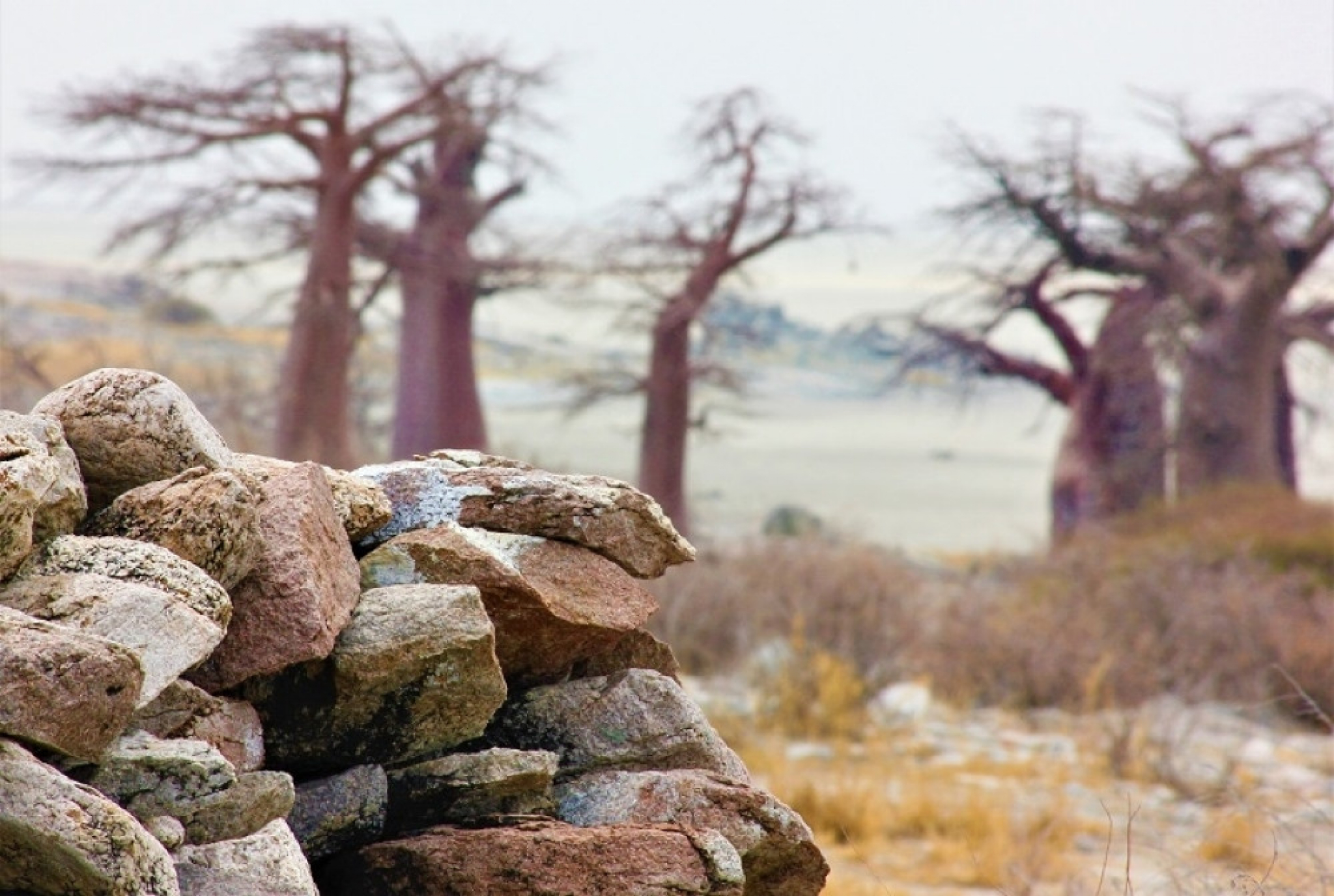 pustinja, izgubljeni grad, Kalahari