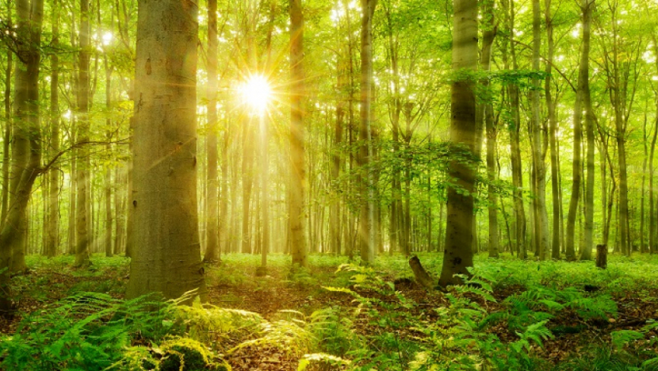 SUNCE NA MITROVDAN ZNAČI SREĆU Ali postoji jedan običaj koji se mnogima neće svideti