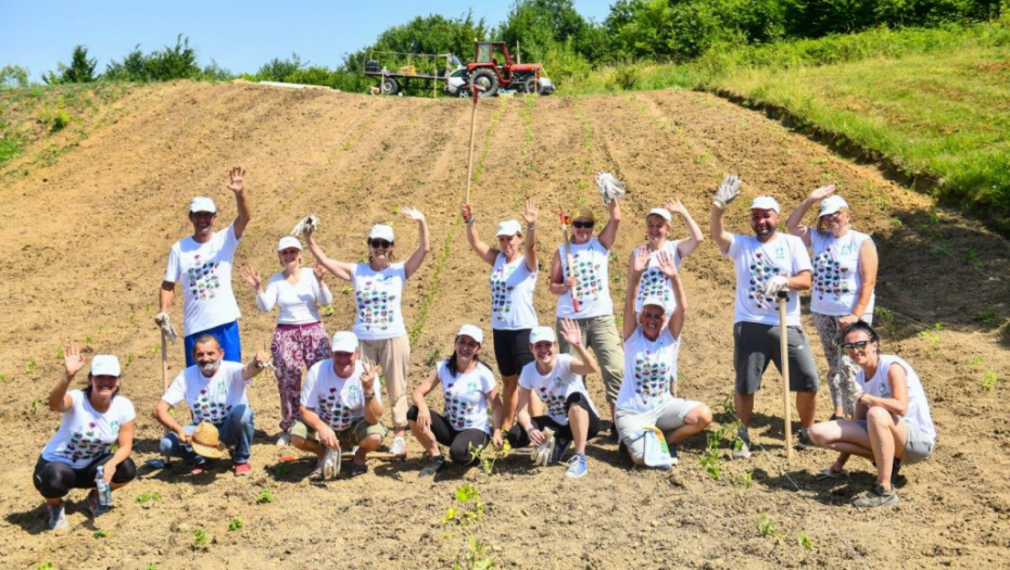 Volonteri kompanije NIS posadili povrće i začinsko bilje u bašti namenjenoj Superherojima iz NURDOR Roditeljskih kuća