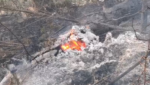 VELIKI POŽAR KOD ČAČKA Pogledajte dramatične scene vatrene stihije (VIDEO) (FOTO)