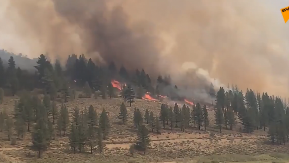 APOKALIPSA U KALIFORNIJI Gore ogromne površine zbog visokih temperatura, uništene i kuće (VIDEO)