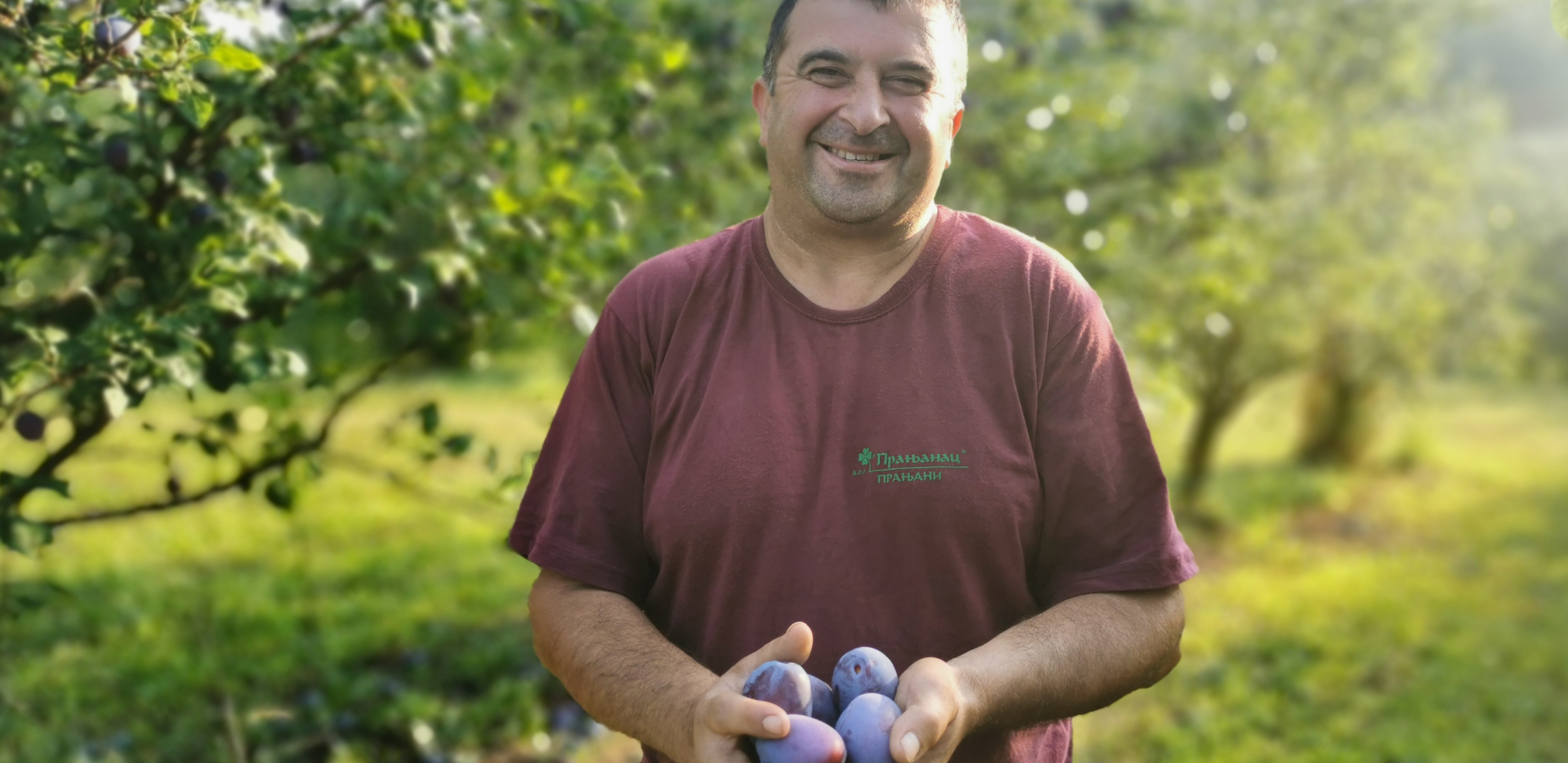 NAJJEFTINIJE VOĆE VREDI KAO CELA APOTEKA Kao melem je za želudac i creva, a glukozu drži pod kontrolom