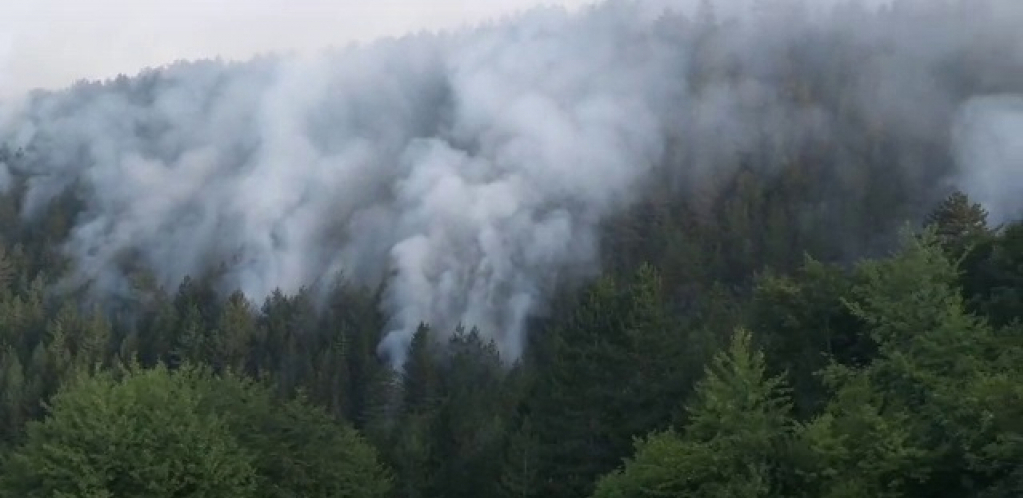 Bukti požar kod Nove Varoši: Vatrena stihija se širi ka kućama, Ilija i ostali meštani strahuju za svoje domove (FOTO/VIDEO)