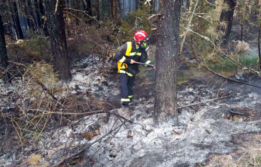 BESNI POŽAR NA MOKROJ GORI! Vatrogasci iz 10 gradova krenuli sa teškom mehanizacijom, čekaju se helikopteri!