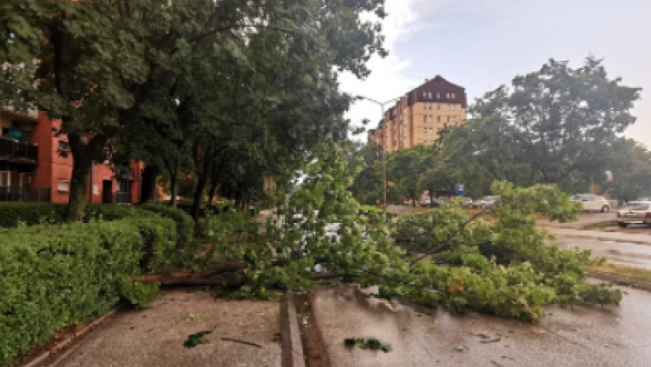 UŽASNO NEVREME PROTUTNJALO SRBIJOM "Sve se zacrnelo, ispred nas se sručilo drvo, jedva smo izbegli tragediju!" (FOTO)