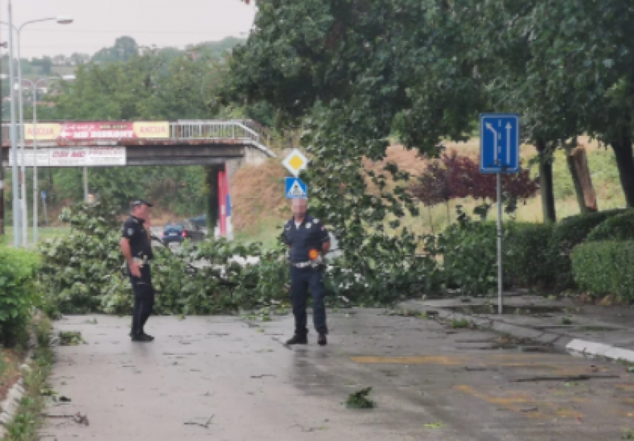 UŽASNO NEVREME PROTUTNJALO SRBIJOM 