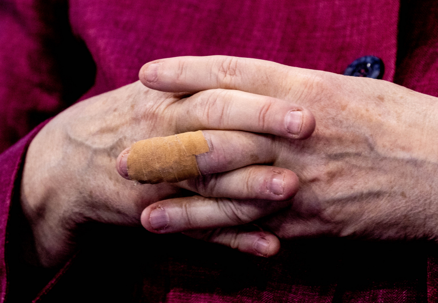 ANGELA MERKEL PENZIONERKA Kuvaće supu i praviti kolač od šljiva, a onda će čitati dok joj se kapci ne sklope...