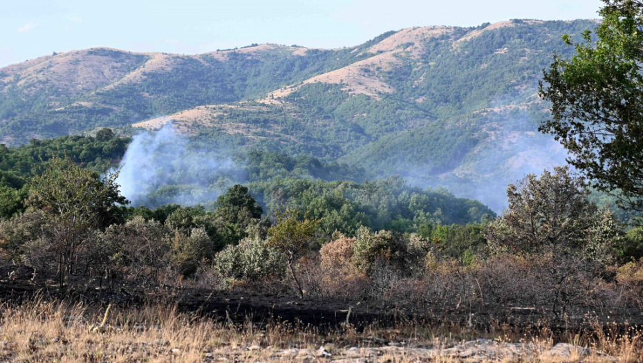 GORI ZLATIBOR Veliki požar iznad Čajetine, vatrogasci pojurili na lice mesta