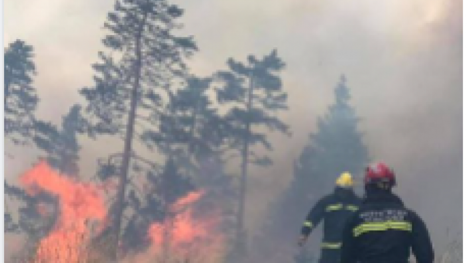 POŽAR U PODGORICI Gori Malo brdo, ugrožene kuće