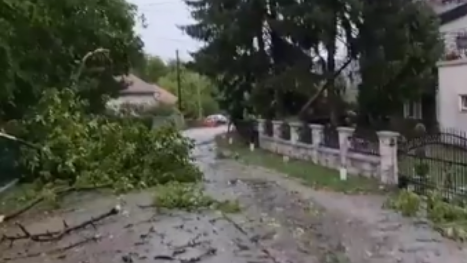 SNAŽNO NEVREME POGODILO BANJALUKU Vetar prevrtao kioske i lomio drveće (VIDEO)