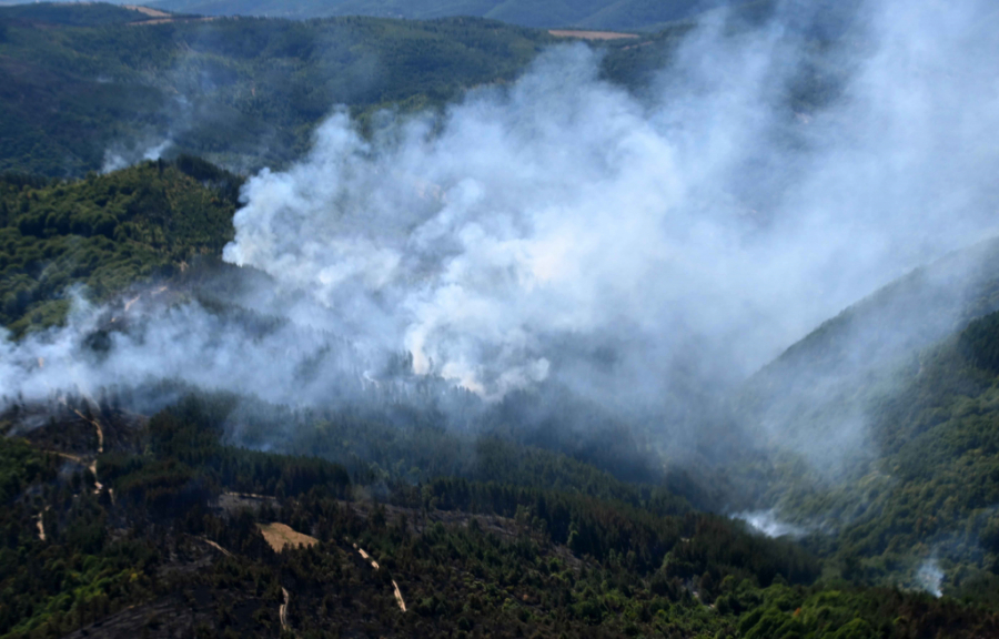 VULIN BURNO REAGOVAO Svi će odgovarati, a ja ću se lično postarati za to!