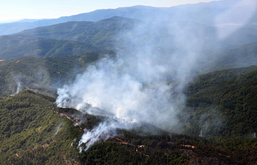 VULIN BURNO REAGOVAO Svi će odgovarati, a ja ću se lično postarati za to!