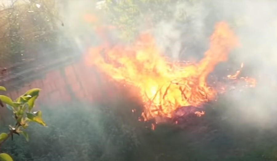 LUNA I MARKO USRED POŽARA Snimali emisiju pa ih zahvatila vatra!