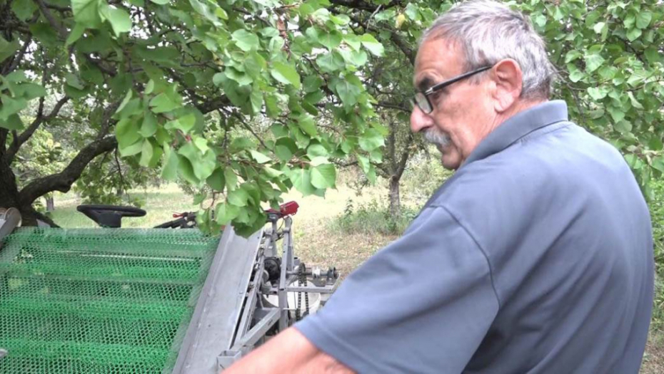 OLAKŠAVA POSAO! Miomir nije mogao da nađe radnike, zato je napravio jedinstvenu mašinu za šljive (FOTO)