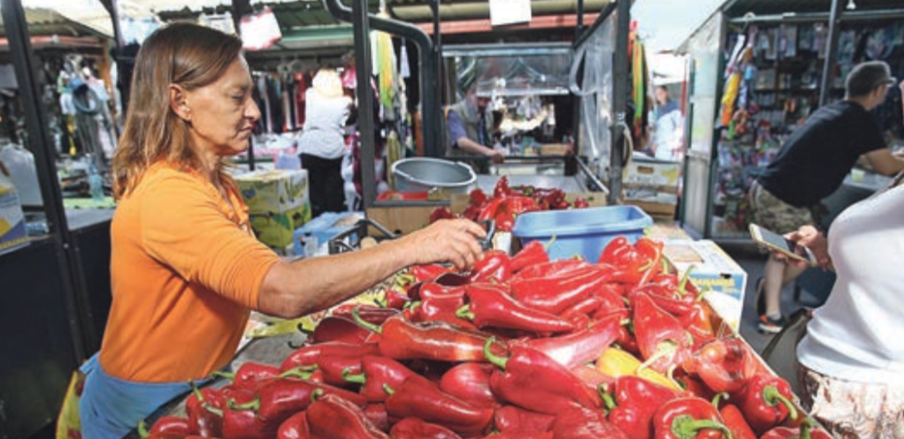 Kupiti ili praviti ajvar? Domaćice suočene sa velikom dilemom: Paprena zimnica zbog poskupljenja paprike!