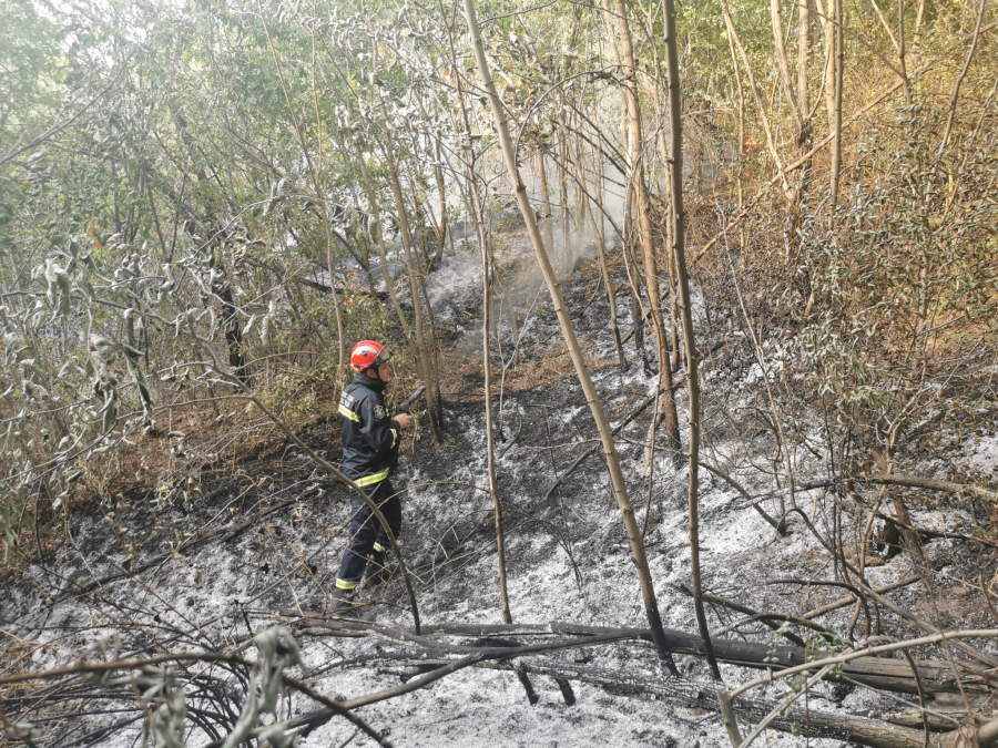 ŠUMSKI POŽAR U SELU PORED ČAČKA Vatrogasci se bore sa vatrenom stihijom (VIDEO)