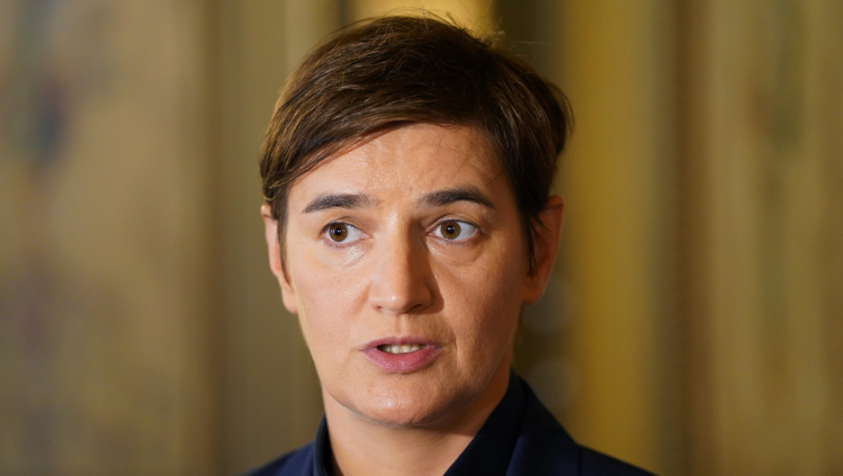 Brnabić: Sramni tvit sociologa o Tasovcu je prilika da podvučemo crvenu liniju!