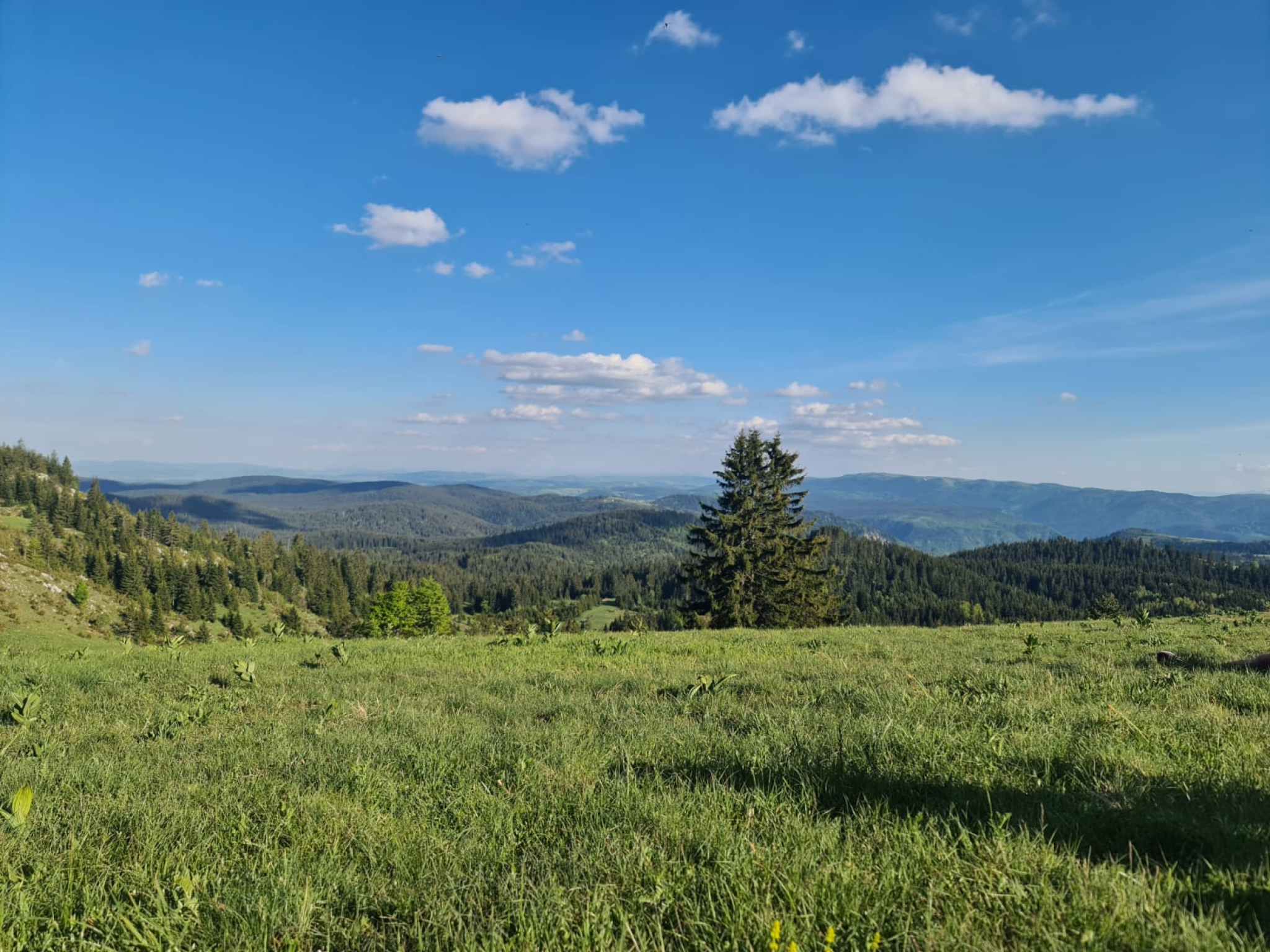 NAPUŠTAJU STALNE POSLOVE I OKREĆU SE TURIZMU: Privatni biznis cveta na Zlataru, sve što se ponudi to se i proda (FOTO)