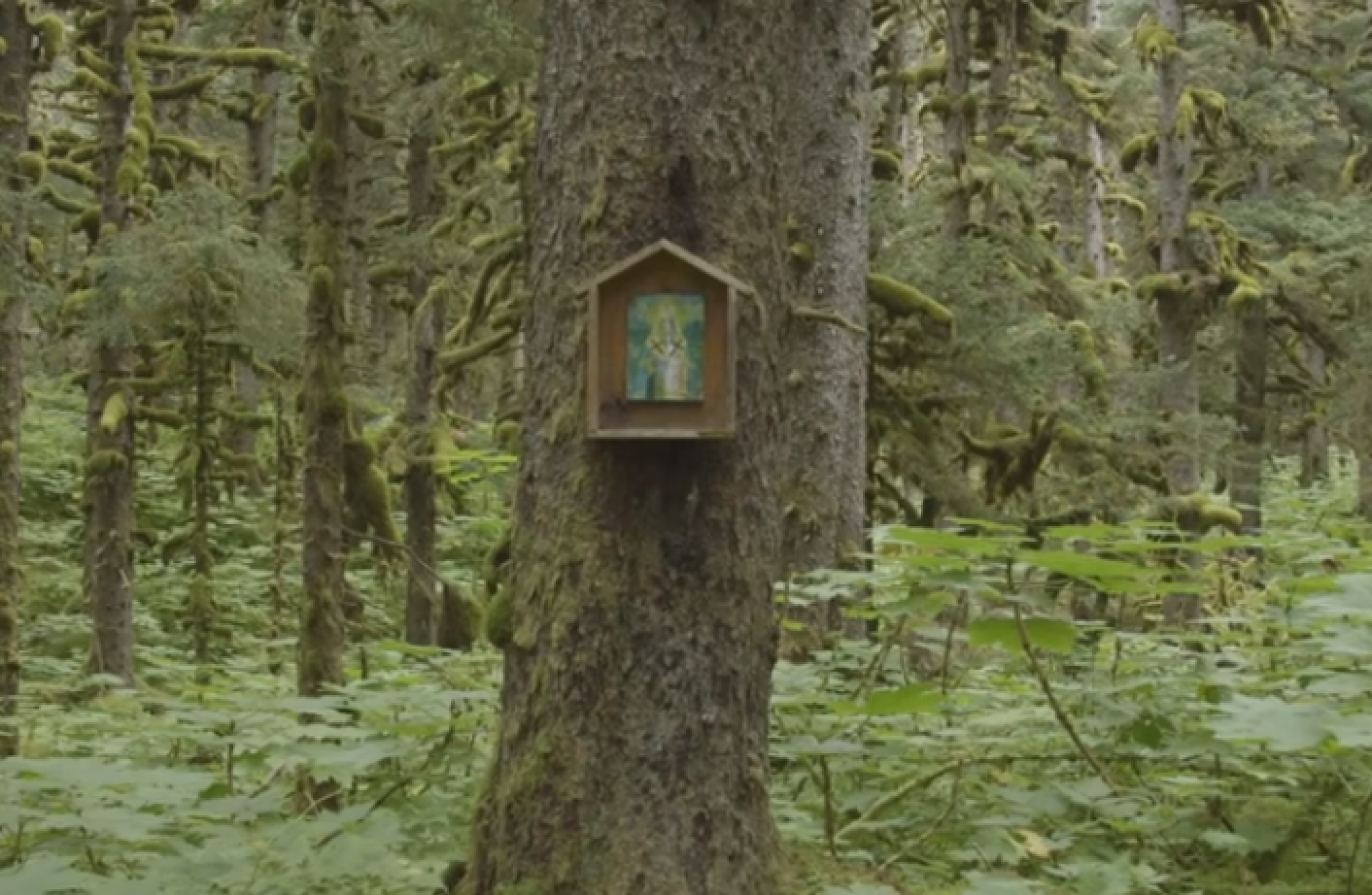 ČUDO SRPSKIH MANASTIRA NA ALJASCI U ovim svetinjama žive bez struje, a dolaze hodočasnici iz celog sveta!(FOTO/VIDEO)