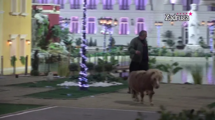 SMEH DO SUZA Miki Đuričić jurio ponija po dvorištu, zadrugari vrištali od smeha! (VIDEO)