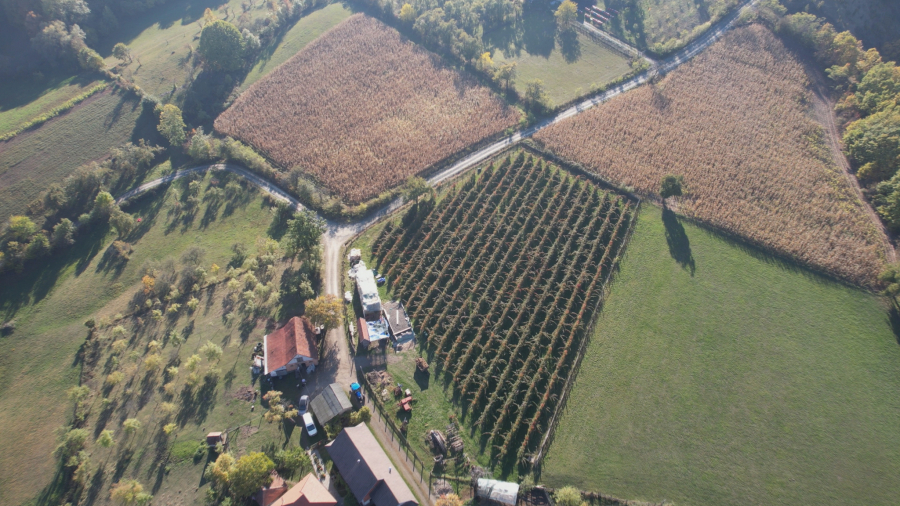 SLIKA ZA PONOS SRBIJE Marko Trnavac osim što je zlatni trubač Guče, on je i vredan poljoprivrednik (FOTO)