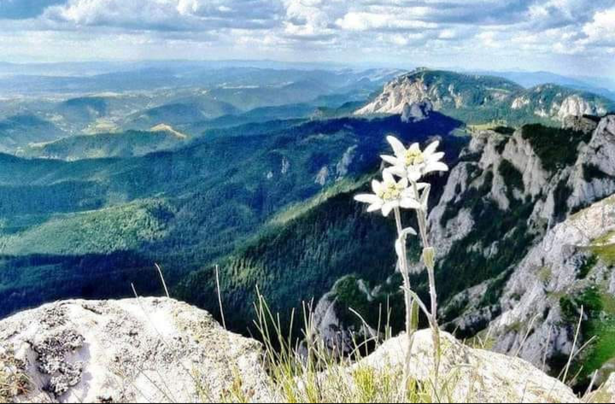 VENERA U JARCU MENJA NAM SUDBINU U naredna 4 meseca ova 2 znaka čeka ljubavna čarolija, a evo ko će imati brdo para