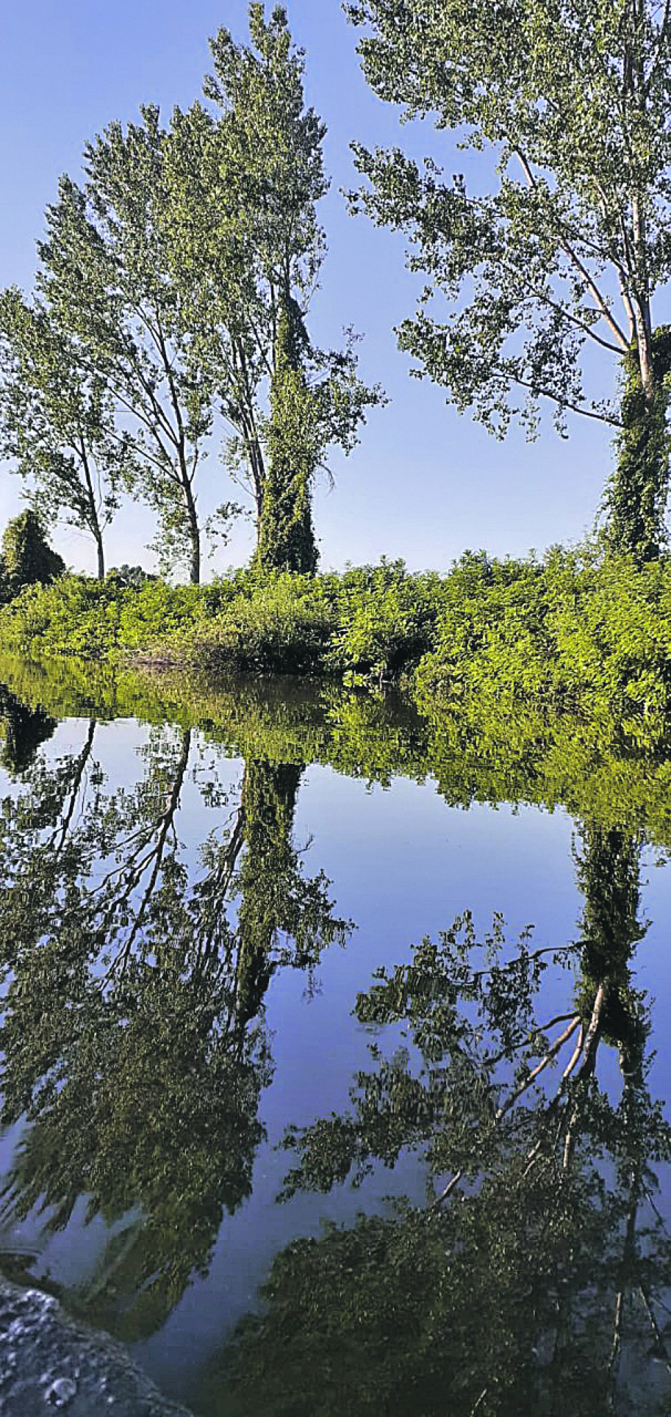 BATAJNICA NA LEPOM PLAVOM DUNAVU Od Zavetnog krsta, preko trim staze na obali i litice iz ledenog doba do vola na ražnju (FOTO)