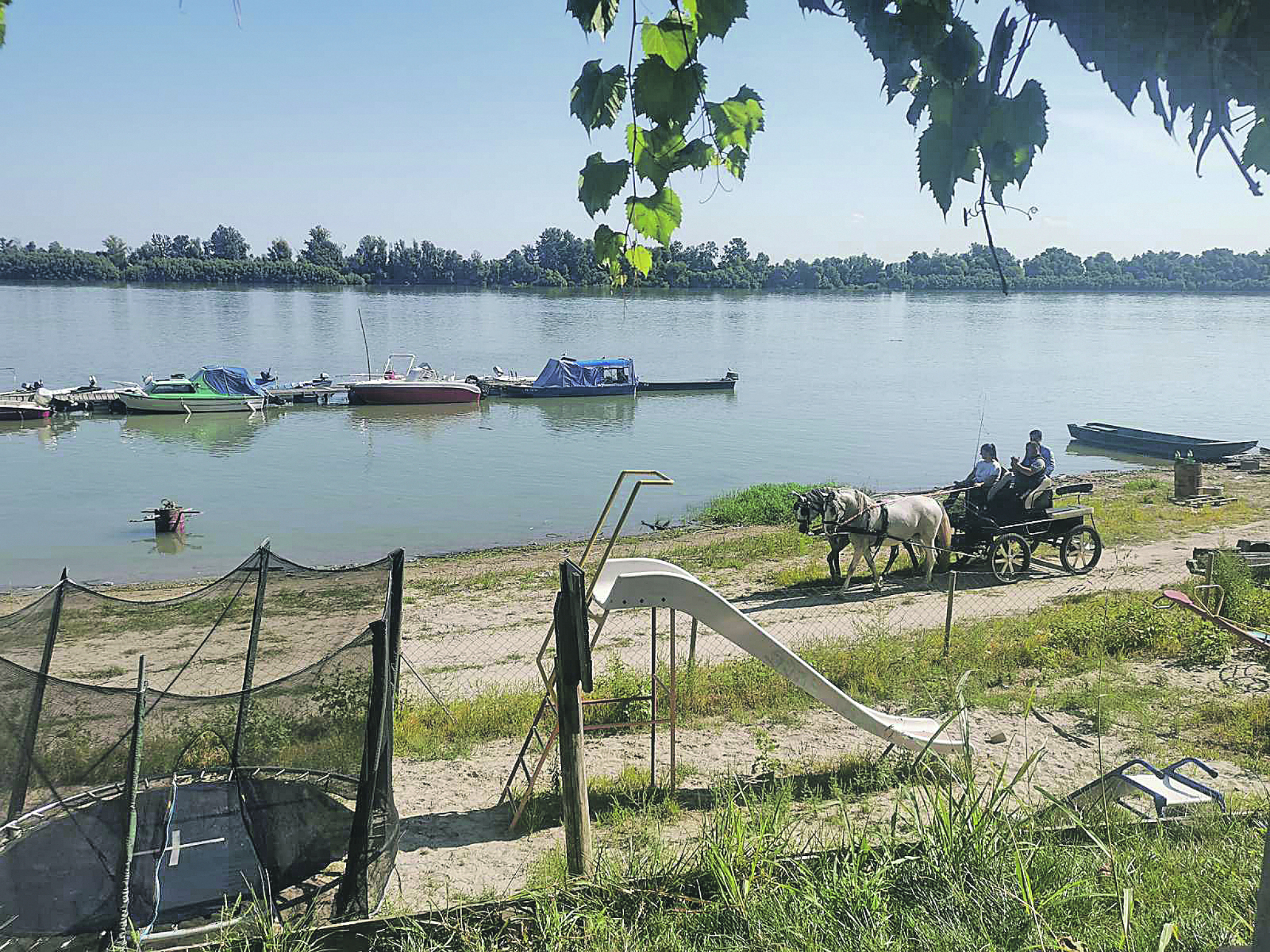 BATAJNICA NA LEPOM PLAVOM DUNAVU Od Zavetnog krsta, preko trim staze na obali i litice iz ledenog doba do vola na ražnju (FOTO)