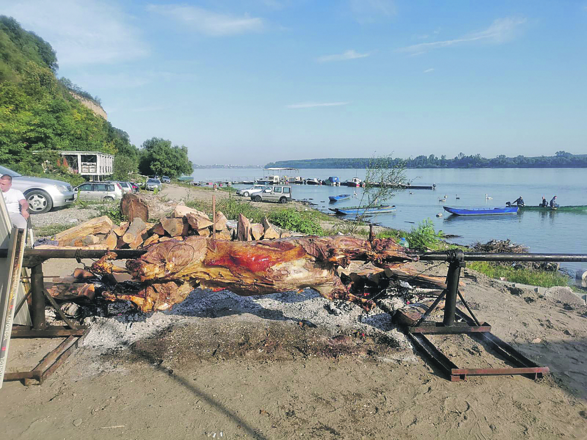 BATAJNICA NA LEPOM PLAVOM DUNAVU Od Zavetnog krsta, preko trim staze na obali i litice iz ledenog doba do vola na ražnju (FOTO)