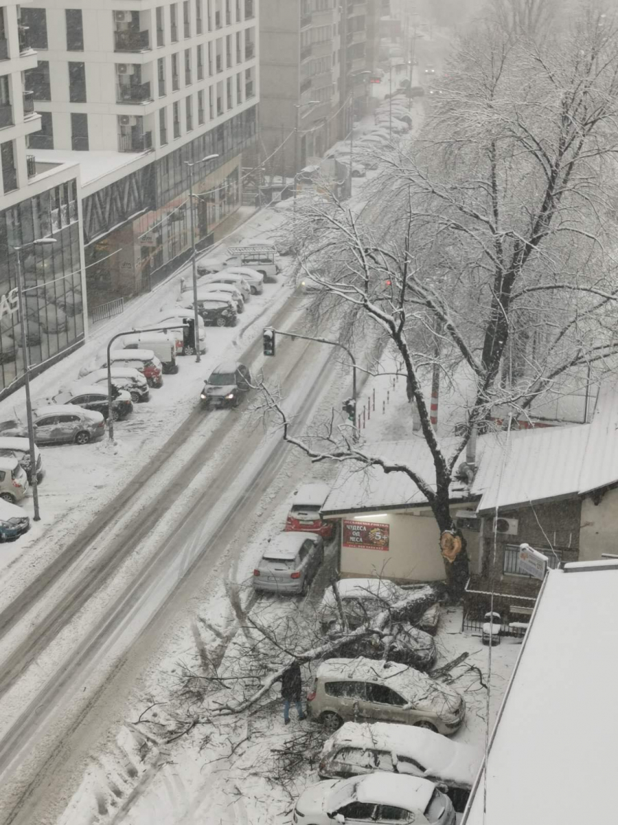 SNEG PRAVI HAOS ŠIROM SRBIJE Jak vetar pravi ogromne smetove, drvo se obrušilo na automobile (FOTO/VIDEO)