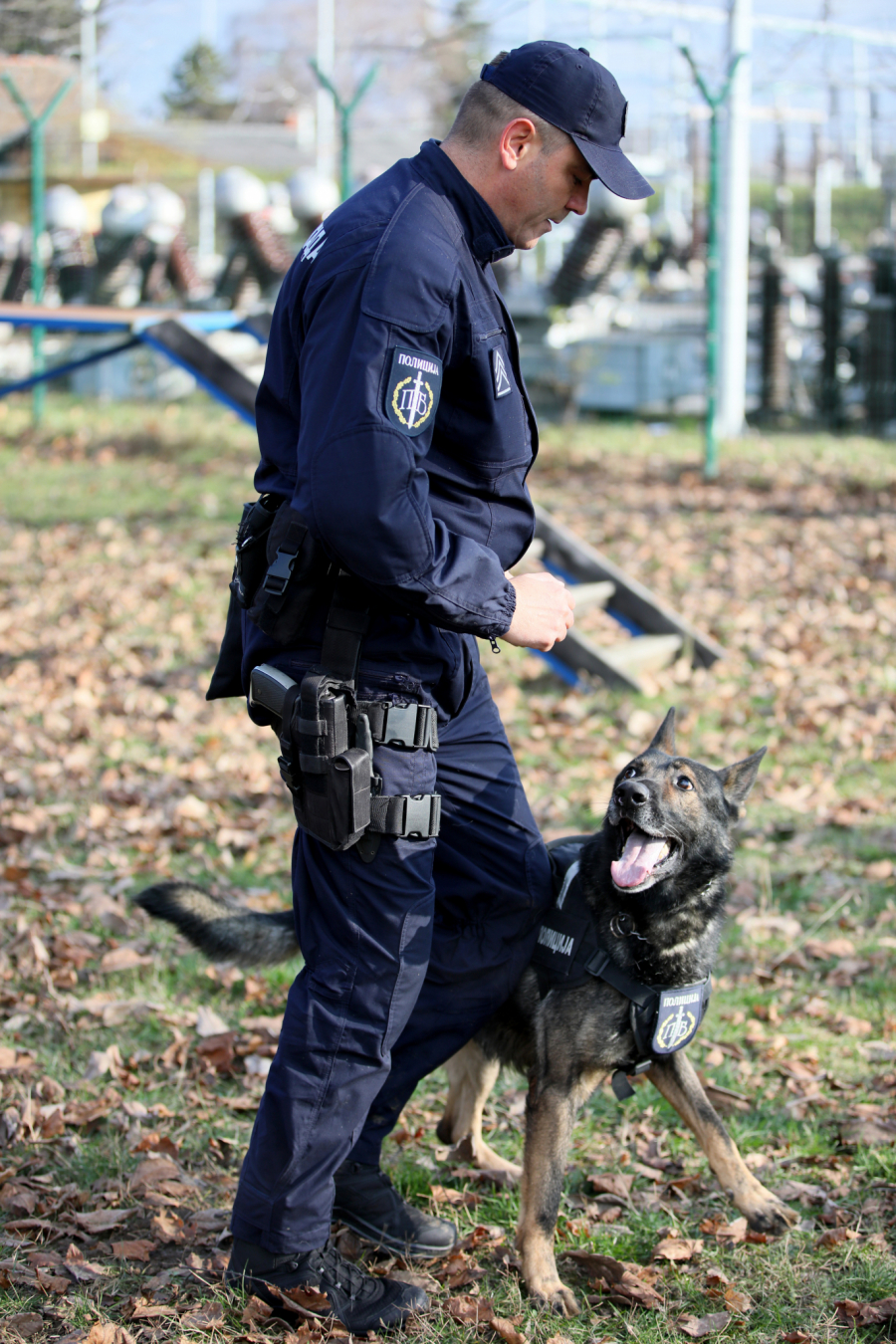 ALO! U POSETI ČETI VODIČA SLUŽBENIH PASA Nemački ovčar Zevs je nepogrešiva njuška Policijske brigade, strah i trepet za narko-dilere!