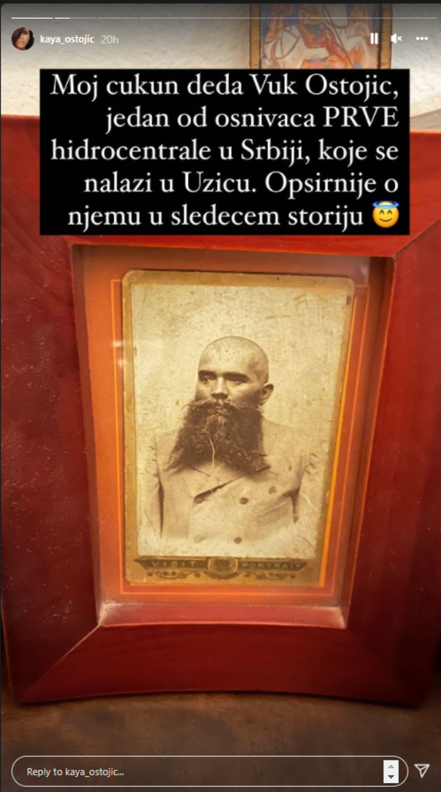 ŠKOLOVAO SE U BEČU, A ZA SRBIJU JE URADIO JAKO BITNU STVAR Kaja Ostojić se pohvalila delom čukundede! (FOTO)