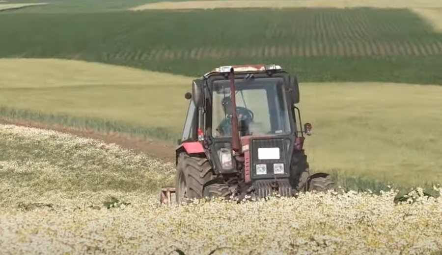 STIŽE NOVA POMOĆ OD DRŽAVE U toku je podnošenje zahteva, evo ko sve ima pravo da konkuriše