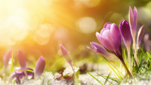 HOROSKOP ZA PONEDELJAK, 21. MART Ovnovi ljubav stiže u vaš život, Jarčevi otkazćete planove, Blizanci čuvajte se nepromišljenih poteza