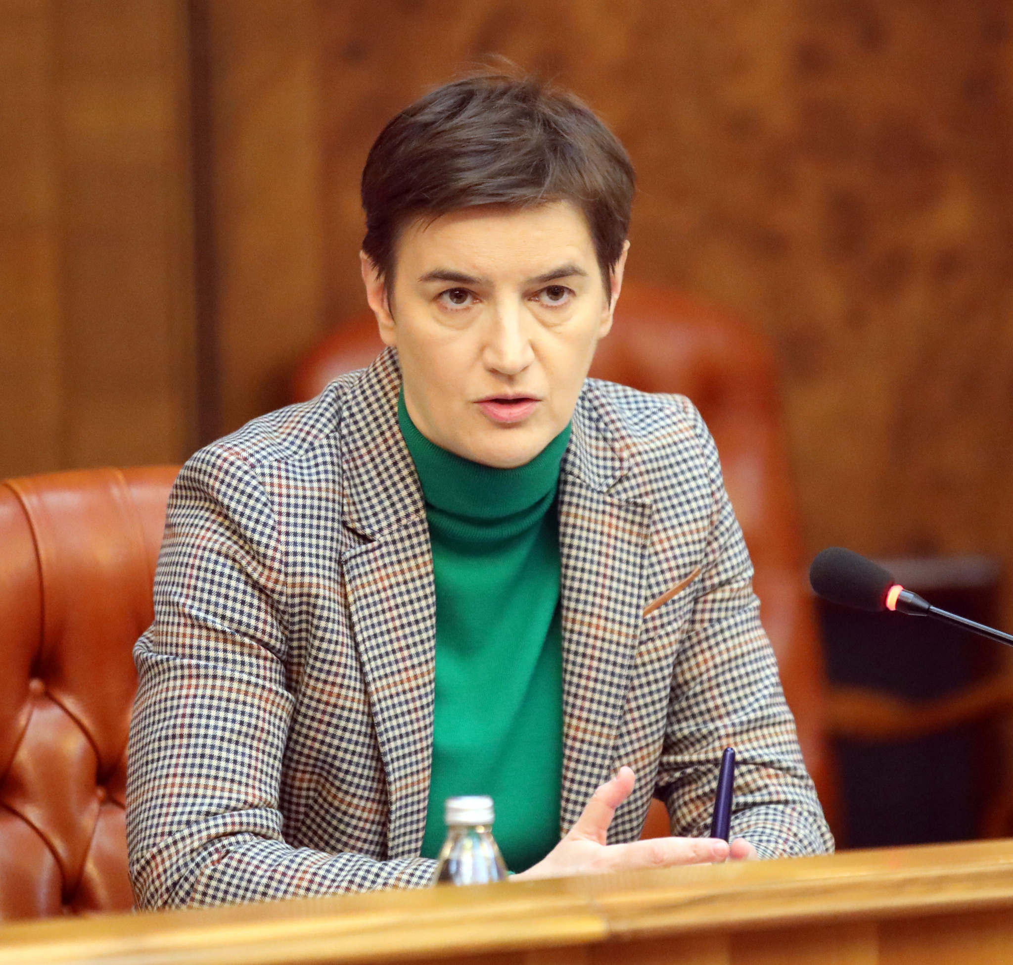 PREMIJERKA BRNABIĆ: Narod neće glasati za 