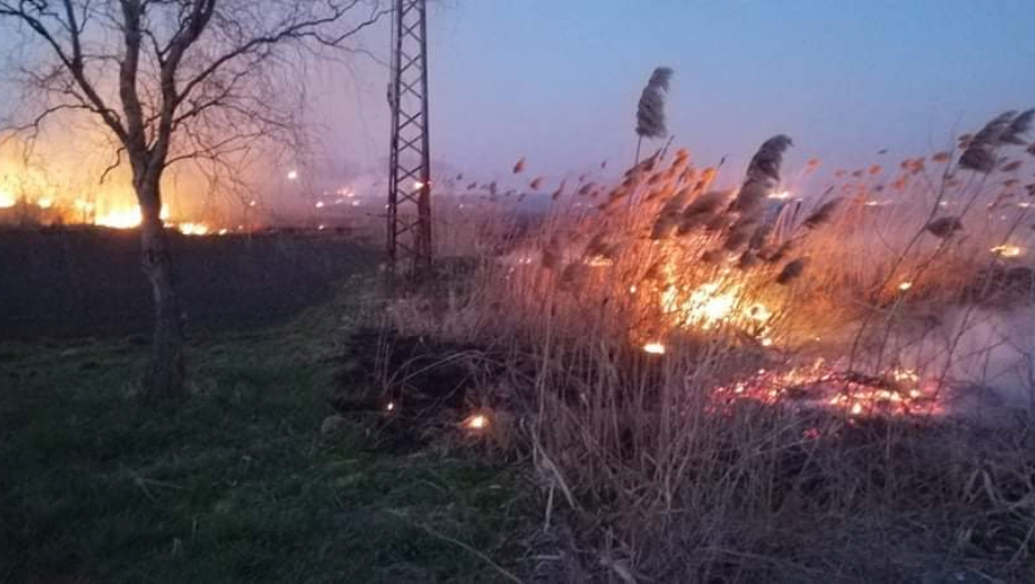 POŽAR PORED AUTO-PUTA Vatrogasci se bore sa vatrenom stihijom kod Mladenovca