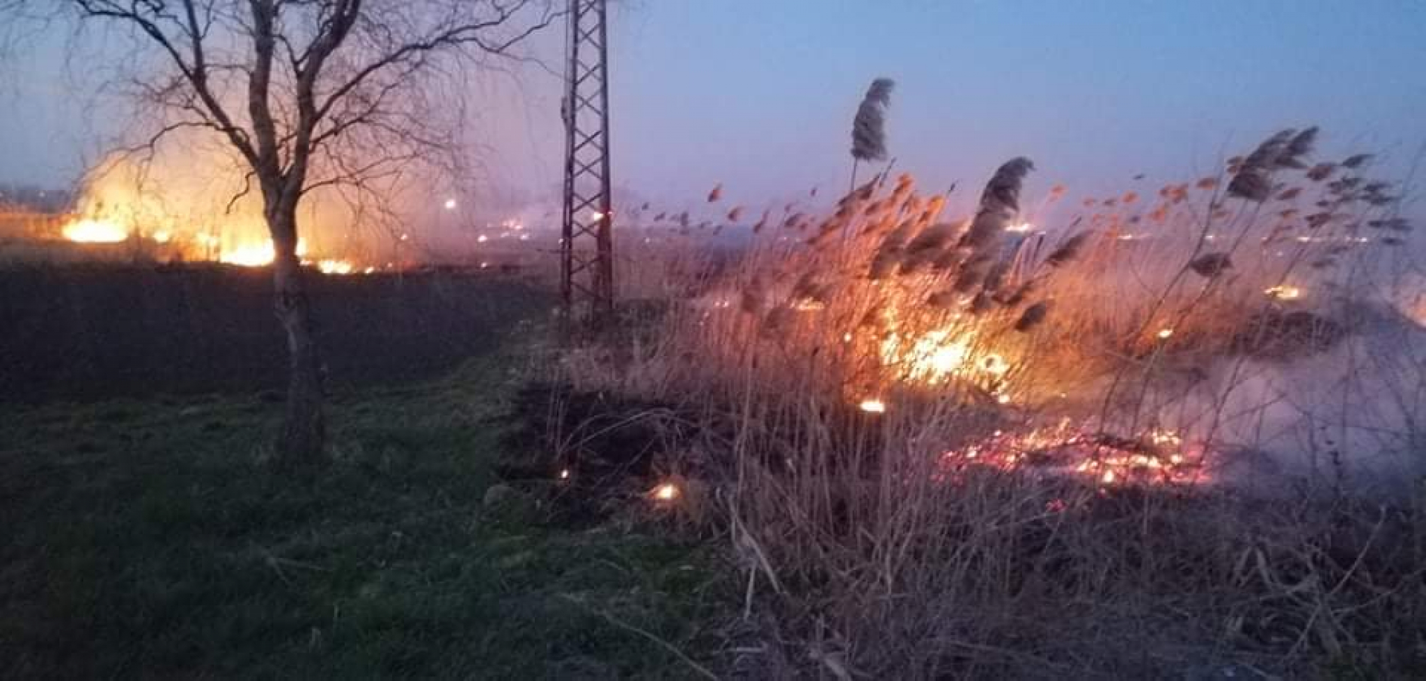 SVE GORI, ZAUSTAVLJEN SAOBRAĆAJ! Veliki požar u Kikindi, gori trava i suva trska na više lokacija (FOTO)