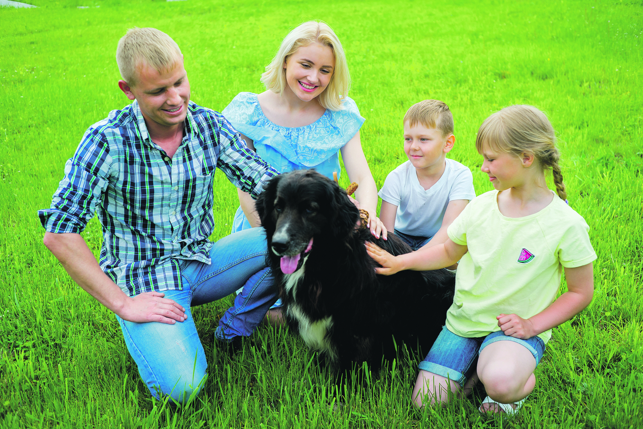 LJUBAV I STRPLJENJE Pomozite svom psu da lakše prebrodi strahove koje je navukao