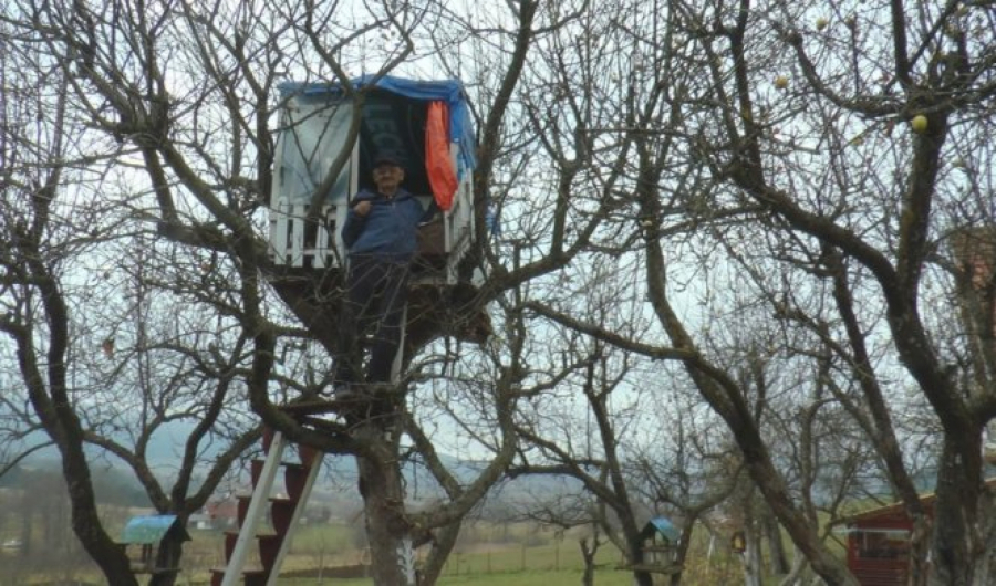 DEDA ŽARKO ŽIVI NA JABUCI Evo kako izgleda njegova oaza mira u krošnji drveta (FOTO)