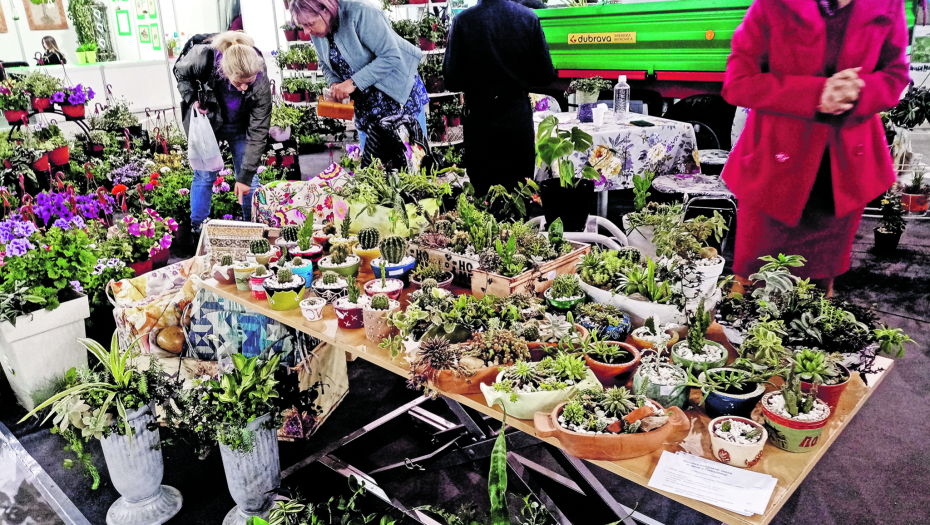 CVEĆE I ZATVORENIKE VRAĆA NA PRAVI PUT Među izlagačima na Međunarodnom sajmu hortikulture našli su se i srpski zatvori