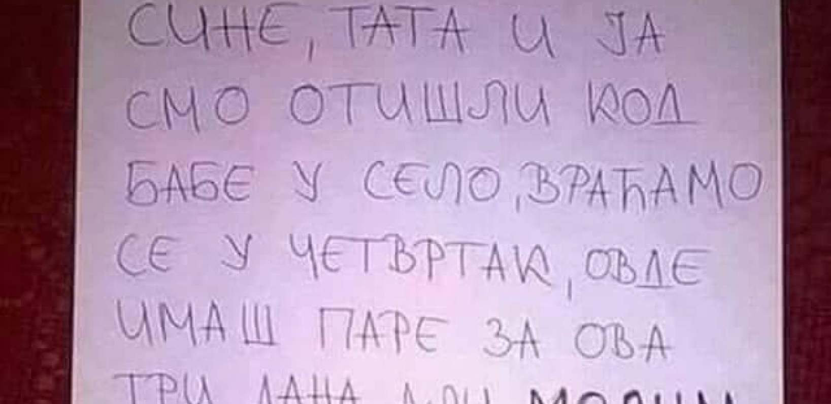 OTIŠLI U SELO, A SINU OSTAVILI PARE Plakaćete od smeha kad vidite šta ga mole da ne radi